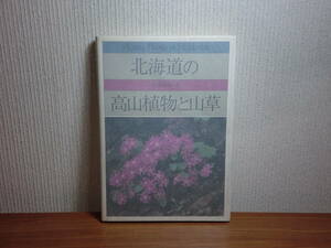 180913L04★ky 北海道の高山植物と山草 伊藤浩司著 昭和57年 誠文堂新光社 定価4500円 カラー写真 分類のむずかしい植物の見分け方