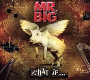 ホワット・イフ・・・（期間限定スペシャル・プライス盤）／ＭＲ．ＢＩＧ