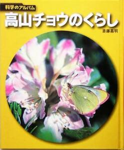 高山チョウのくらし 科学のアルバム／斎藤嘉明(著者)