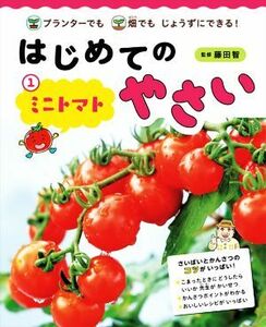 はじめてのやさい　ミニトマト(１) プランターでも畑でもじょうずにできる！／藤田智(監修)