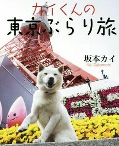  kai kun. Tokyo ....| Sakamoto kai ( author )