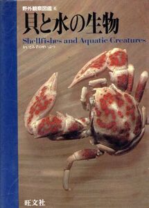 貝と水の生物 野外観察図鑑６／旺文社【編】