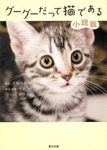 グーグーだって猫である　小説版／大島弓子(著者),犬童一心(著者)