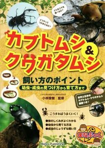 カブトムシ＆クワガタムシ　飼い方のポイント 幼虫・成虫の見つけ方から育て方まで まなぶっく／小林俊樹