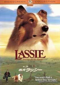 名犬ラッシー／トム・ギアリー,ヘレン・スレイター,ジョン・テニー,フレデリック・フォレスト,リチャード・ファーンズワース,ダニエル・ペ