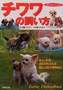 チワワの飼い方 キュートなおちびちゃんと楽しく暮らすために 愛犬セレクション／村岸淳也,中島真理