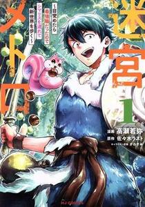 迷宮メトロ(１) 目覚めたら最強職だったのでシマリスを連れて新世界を歩く ホビージャパンＣ／高瀬若弥(著者),佐々木ラスト(原作),かわすみ