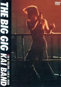 見体験！ＢＥＳＴ　ＮＯＷ　ＤＶＤ：：ＴＨＥ　ＢＩＧ　ＧＩＧ／甲斐バンド