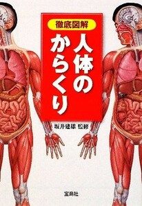 徹底図解　人体のからくり 宝島社文庫／坂井建雄【監修】