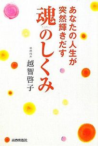 あなたの人生が突然輝きだす魂のしくみ／越智啓子【著】