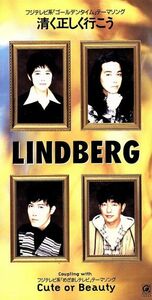 清く正しくいこう／ＬＩＮＤＢＥＲＧ