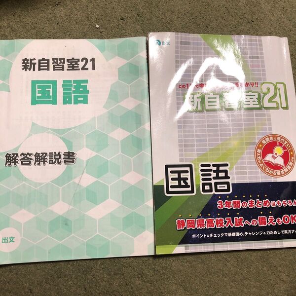 新自習室21 国語 解答解説書