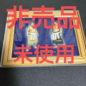 【非売品・未使用】若乃花 貴乃花 二子山部屋後援会