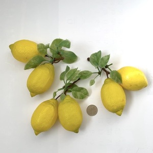  food sample lemon 6 piece 