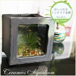  Shigaraki . керамика аквариум керамика стекло аквариум японский стиль интерьер me Dakar горшок круглый аквариум горшок с водой . кимоно Mini размер прямоугольник ( чай цвет )su-0212