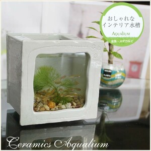  Shigaraki . керамика аквариум керамика стекло аквариум японский стиль интерьер me Dakar горшок круглый аквариум горшок с водой . кимоно Mini размер прямоугольник ( белый цвет )su-0213