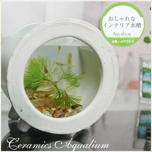 信楽焼 陶器水槽 陶器 ガラス 水槽 和風 インテリア メダカ鉢 金魚鉢 水鉢 やきもの ミニサイズ 丸型（白色）su-0211