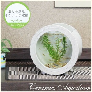  Shigaraki . керамика аквариум керамика стекло аквариум японский стиль интерьер аквариум круглый ( белый цвет )su-0125