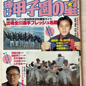 日刊スポーツグラフ増刊　輝け甲子園の星　‘95早春号