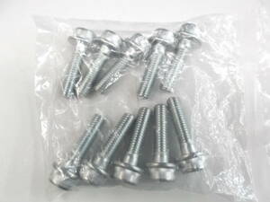 RG400 Gamma (HK31A)|RG500 Gamma (HM31A) original front disk installation bolt for 1 vehicle 10 piece new goods 