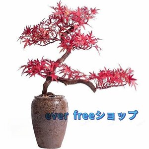 Art hand Auction 高品質★ 人工観葉植物 人 木製 プラスチック工樹木 モミジ もみじ 松 人工盆栽 2色選択可能 造花 フェイクグリーン セラミック花瓶 玉石, ハンドメイド作品, インテリア, 雑貨, 置物, オブジェ