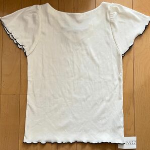 ホワイト Tシャツ