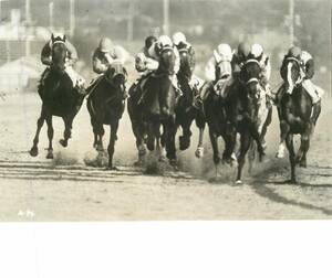 p37235『日本ダービー　勝負』スチル　高倉健　菅原文太　三橋達也　藤純子　梅宮辰夫　津島恵子