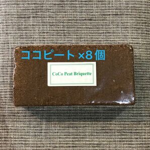 ココピート 角型×8個 （約48L）水でふくらむ土　軽い土　園芸用土