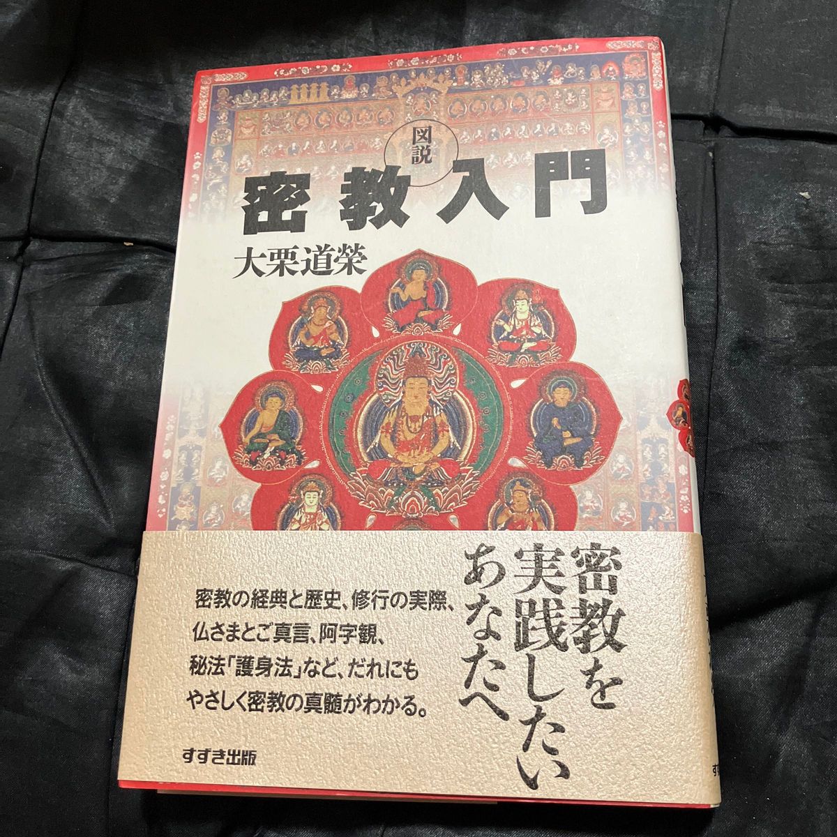 ネパール密教儀礼の研究 / 山口 しのぶ (著)｜PayPayフリマ