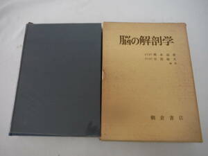 H0933　脳の解剖学　岡本道雄　草間敏夫　朝倉書店　昭和49年 発行　医学　医療　療法　脳科学　脳神経外科　図解　解説　療法