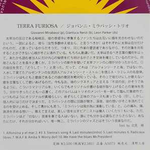 澤野工房★ ジョバンニ・ミラバッシ・トリオ ★ TERRA FURIOSA - GIOVANNI MIRABASSI TRIO ★ [デジパック仕様]★ 廃盤レア・入手困難の画像5