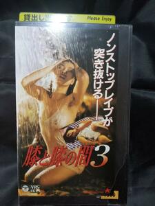 希少廃盤 未DVD化VHS 『膝と膝の間3』 1994年 韓国　コリアンエロス