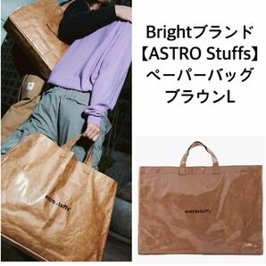 【新品未開封】Bright★Astro Stuffsロゴペーパーバッグ茶L 2gether F4 GMMTV SBS