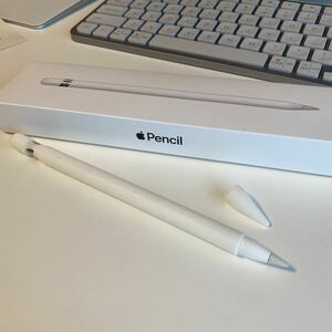 Apple Pencil アップルペンシル 第1世代 MK0C2J/A A1603 不具合なし！【専用ケース付き！】