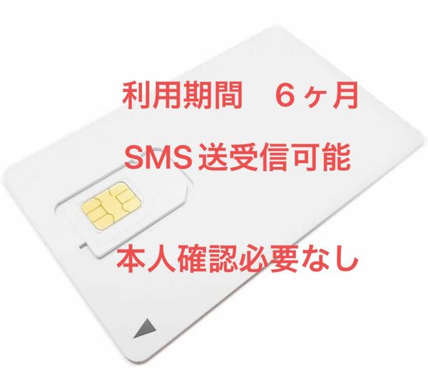 【SMS送受信可能】楽天モバイル網データSim 月間3GB 6ヶ月利用可能