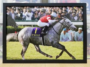 競馬.ゴールドシップ.パネル.日刊競馬.菊花賞