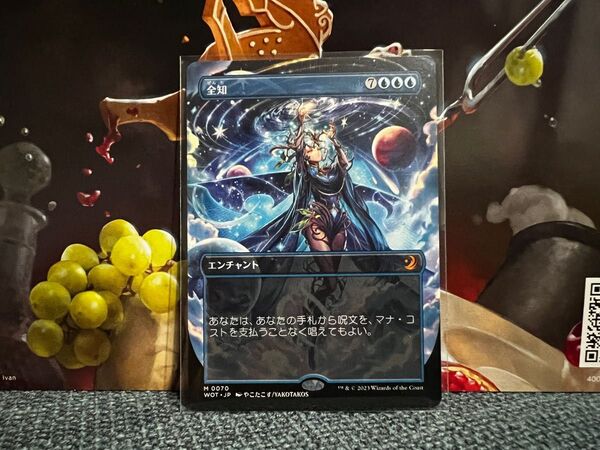 全知 MTG Omniscience ボーダーレス 新品未使用