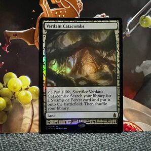 MTG 新緑の地下墓地　Verdant Catacombs foil