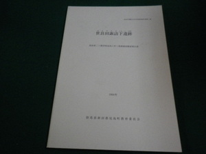 ■世良田諏訪下遺跡　1994年　群馬県新田郡尾島町教育委員会■FAIM2023090112■