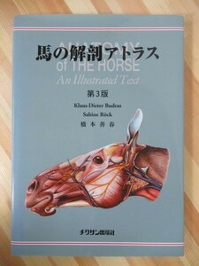 k06●【馬の解剖アトラス】 第3版 Klaus-Dieter Budras 橋本善春著 日本中央競馬会弘済会 2005年 平成17年 3月 競馬 動物解剖学 211007