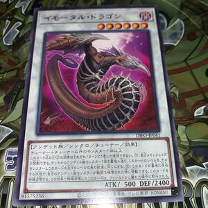 遊戯王　DIFO-JP041　レア　イモータル・ドラゴン　DIMENSION FORCE