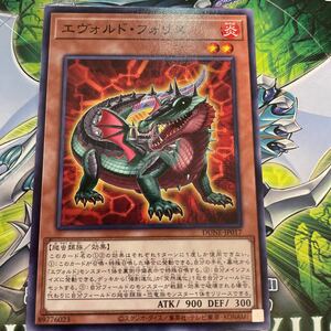 遊戯王　ノーマル　DUNE-JP017　エヴォルド・フォリス　DUELIST NEXUS