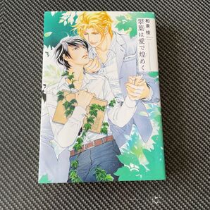 翠葉は愛で煌めく 和泉桂/著