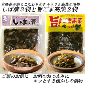 宮崎の漬物 旨!ごま高菜 150ｇ×2袋 しば漬 150ｇ×3袋 高菜漬け きゅうり漬 ご飯のお供 お酒のつまみ