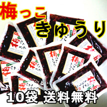 梅っこきゅうり 130g×10袋 送料無料 宮崎のきゅうりと紀州南高梅のコラボ ご飯のお供 おにぎり 行楽弁当 混ぜご飯 お茶漬け おかずに_画像1