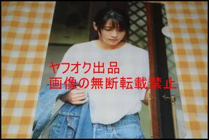 ◎レア◎ZARD◎クリアファイル◎坂井泉水◎