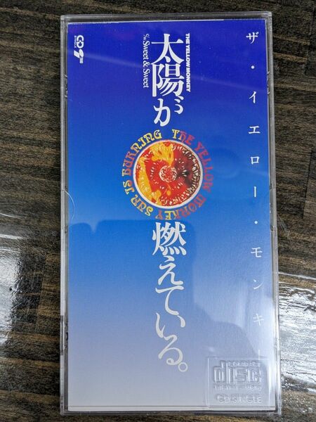 ザ.イエロー.モンキー1995太陽が燃えている。