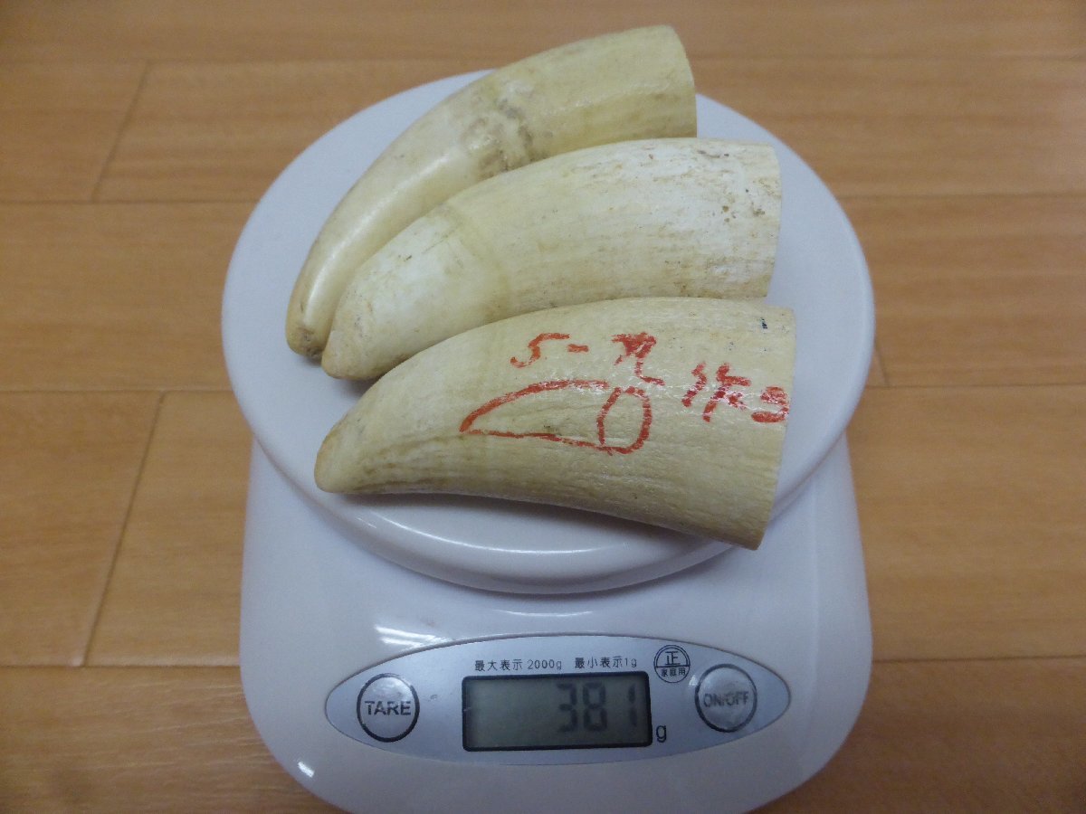 2023年最新】ヤフオク! -鯨(美術品)の中古品・新品・未使用品一覧