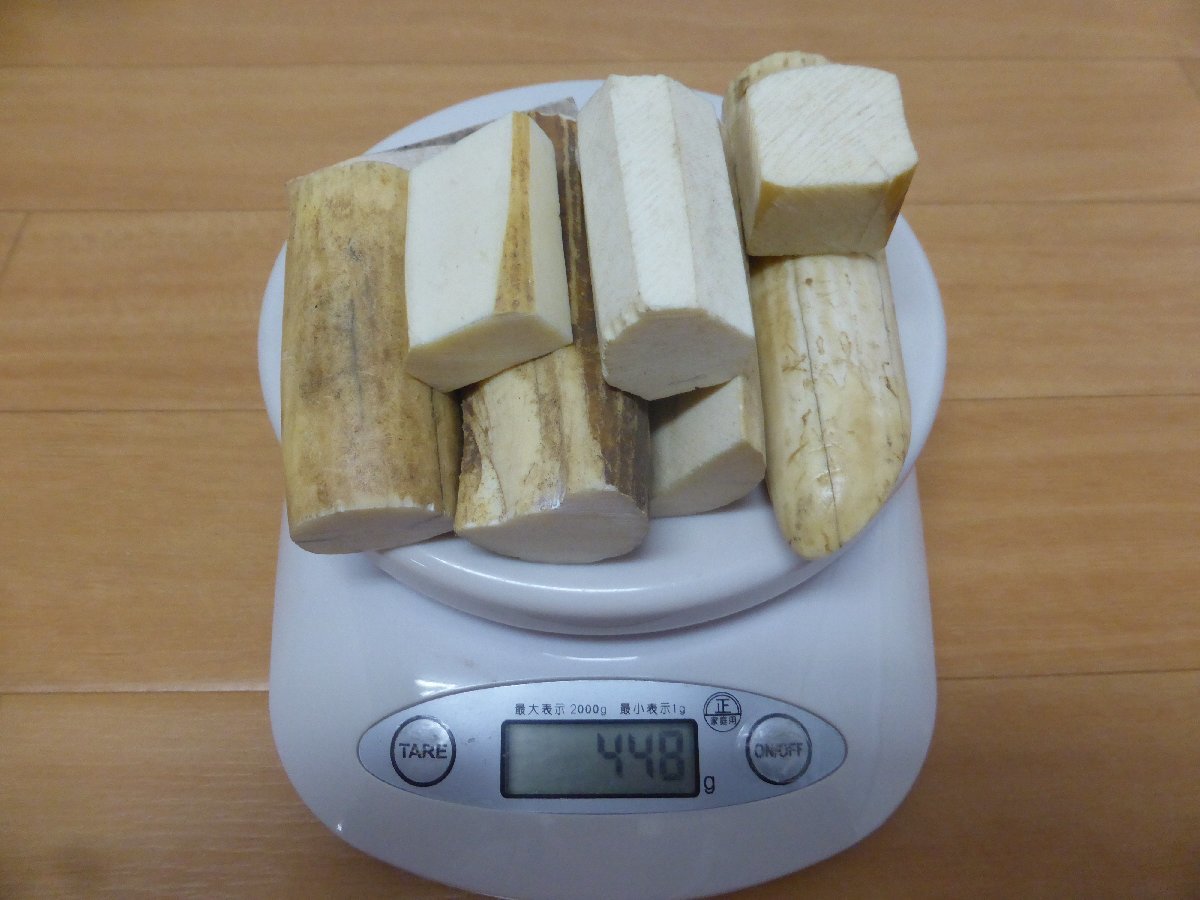 2023年最新】ヤフオク! -カバ 牙の中古品・新品・未使用品一覧
