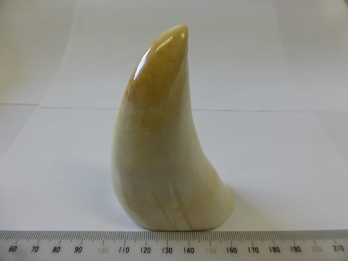 2023年最新】ヤフオク! -鯨(美術品)の中古品・新品・未使用品一覧